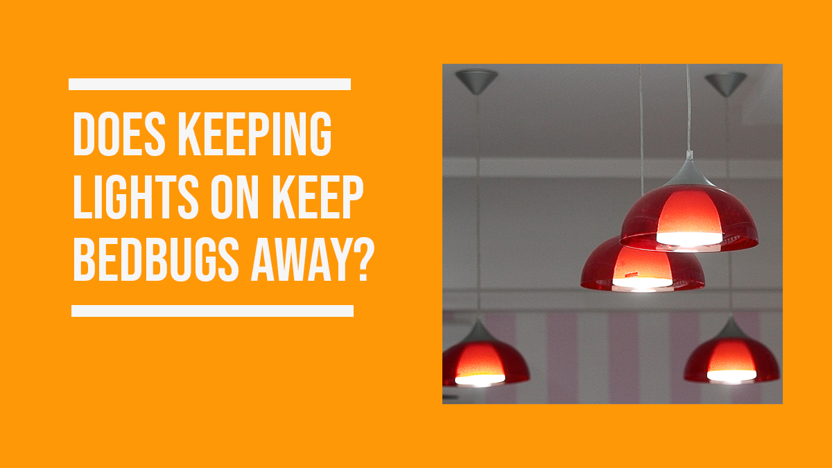 Does keeping lights on keep bedbugs away