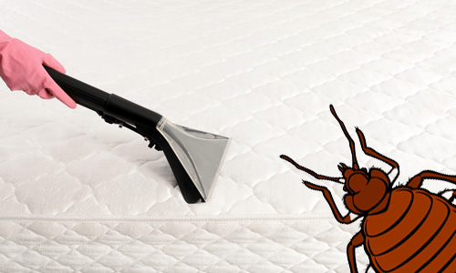 Benefits of Bed Bug Heat Treatment