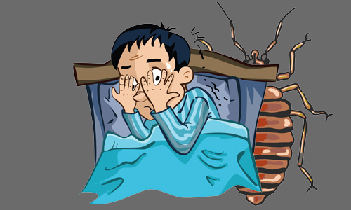 Heat Treatment Readiness Guide for Bed Bugs