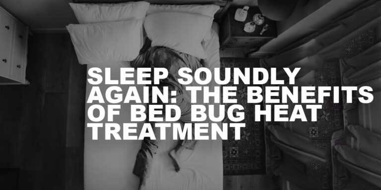Sleep Soundly Again: The Benefits of Bed Bug Heat Treatment