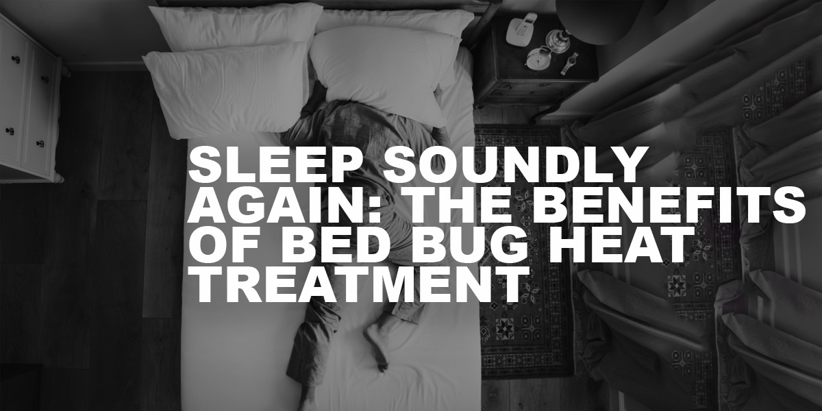 e Benefits of Bed Bug Heat Treatment