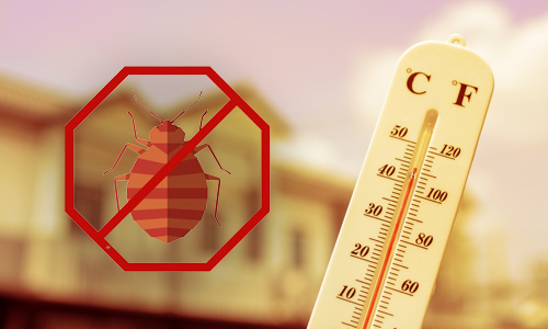 Why is Bed Bug Heat Treatment Effective?