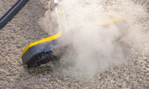 Steam Treatment for Bed Bug Control