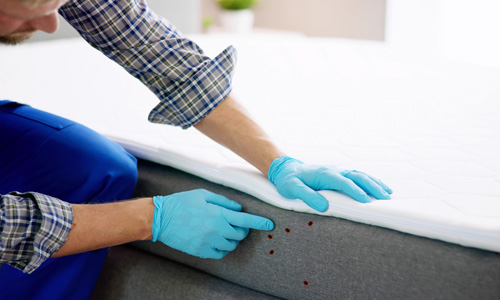 Pros of Conventional Bed Bug Treatment Methods