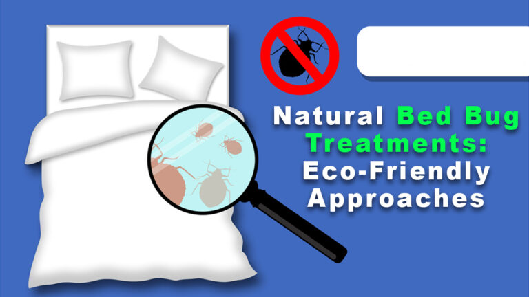 Natural Bed Bug Treatments: Eco-Friendly Approaches