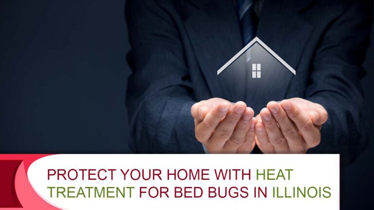 Protect Your Home with Heat Treatment for Bed Bugs in Illinois