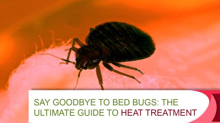 Say Goodbye to Bed Bugs: The Ultimate Guide to Heat Treatment