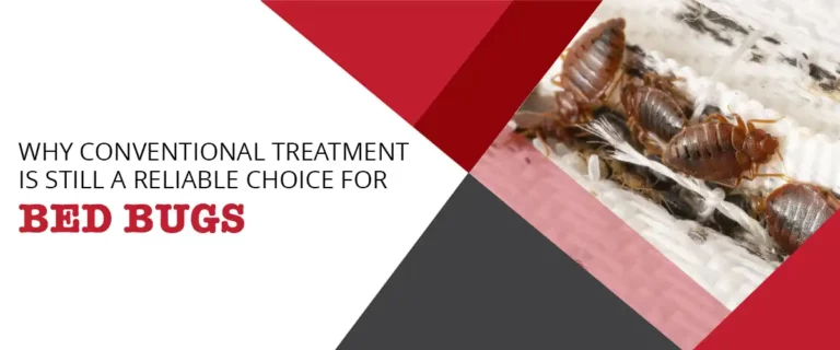 Why Conventional Treatment is Still a Reliable Choice for Bed Bugs