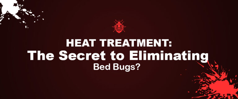 Heat Treatment: The Secret to Eliminating Bed Bugs?