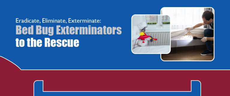 Eradicate, Eliminate, Exterminate: Bed Bug Exterminators to the Rescue