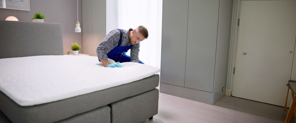 Methods Used by Bed Bug Exterminators