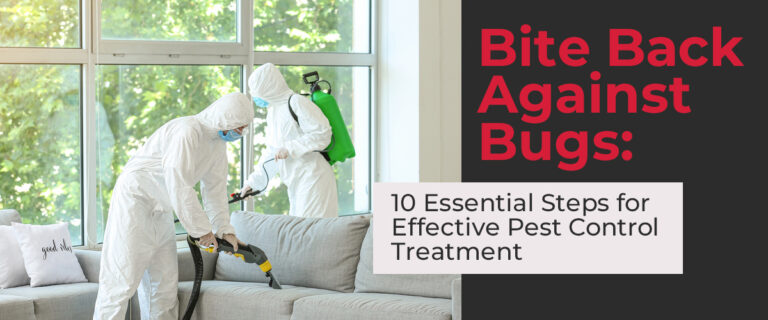 Bite Back Against Bugs: 10 Essential Steps for Effective Pest Control Treatment
