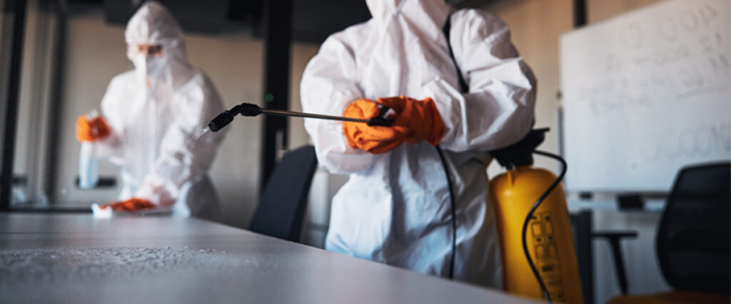 Pest Control Treatment - Post-Treatment Cleaning and Sanitization