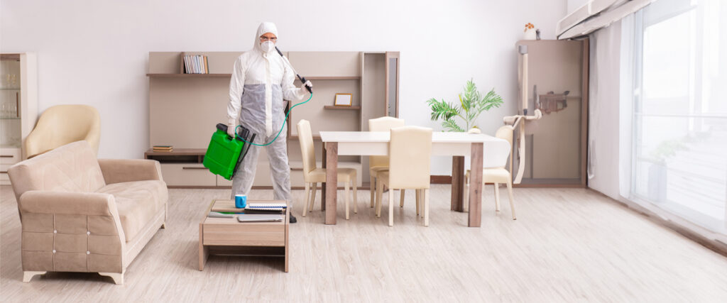 Pest Control Treatment - Understanding the Need for Pest Control
