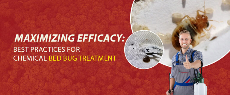 Maximizing Efficacy: Best Practices for Chemical Bed Bug Treatment
