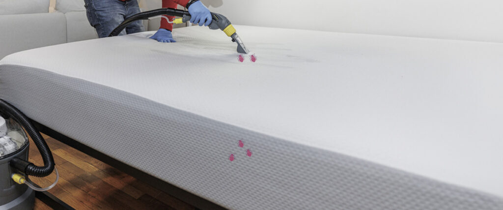 Why Choose Thermal Bed Bug Removal?