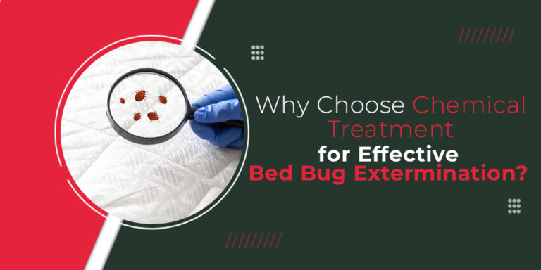 Why Choose Chemical Treatment for Effective Bed Bug Extermination?