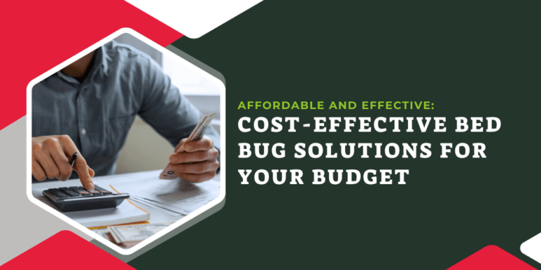 1 Affordable and Effective_ Cost-Effective Bed Bug Solutions for Your Budget