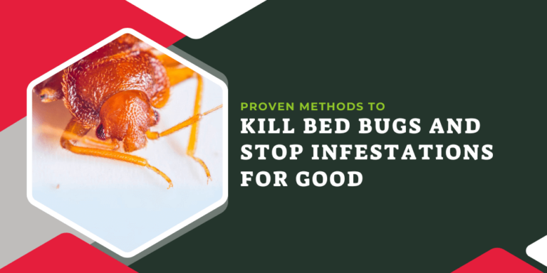 1 Proven Methods to Kill Bed Bugs and Stop Infestations for Good