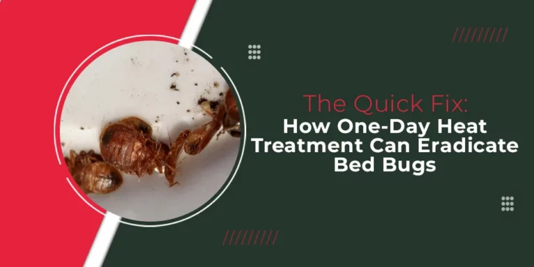 The Quick Fix- How One-Day Heat Treatment Can Eradicate Bed Bugs